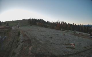 Czarna Góra Grapa ski Dolna Stac - 17-10-2026 05:08
