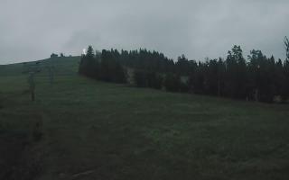 Czarna Góra Grapa ski Dolna Stac - 17-06-2025 02:12