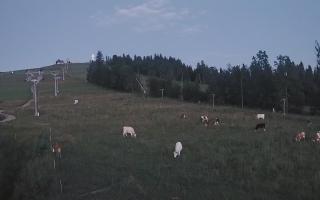 Czarna Góra Grapa ski Dolna Stac - 31-07-2025 18:58
