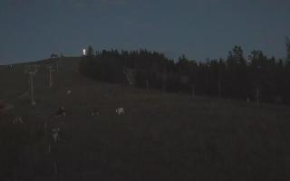 Czarna Góra Grapa ski Dolna Stac - 31-07-2025 19:12