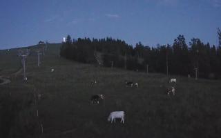 Czarna Góra Grapa ski Dolna Stac - 31-07-2025 19:05