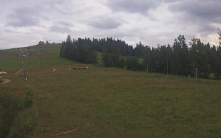 Czarna Góra Grapa ski Dolna Stac - 01-08-2025 17:15