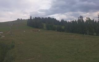 Czarna Góra Grapa ski Dolna Stac - 01-08-2025 17:22