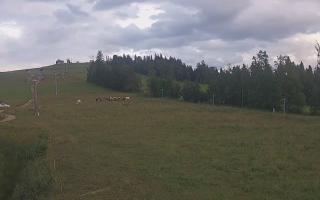 Czarna Góra Grapa ski Dolna Stac - 01-08-2025 17:30
