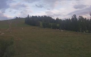 Czarna Góra Grapa ski Dolna Stac - 01-08-2025 17:44