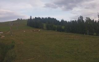Czarna Góra Grapa ski Dolna Stac - 01-08-2025 17:08