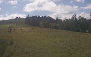 Czarna Góra Grapa ski Dolna Stac - 02-08-2025 08:16