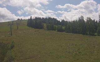 Czarna Góra Grapa ski Dolna Stac - 02-08-2025 09:34
