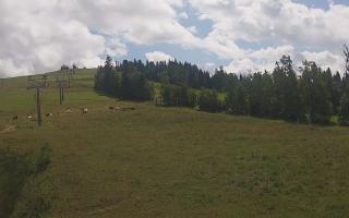 Czarna Góra Grapa ski Dolna Stac - 02-08-2025 09:55