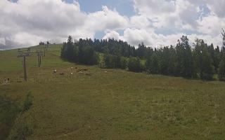 Czarna Góra Grapa ski Dolna Stac - 02-08-2025 10:02