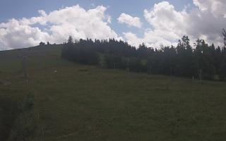 Czarna Góra Grapa ski Dolna Stac - 02-08-2025 10:30