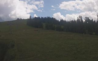 Czarna Góra Grapa ski Dolna Stac - 02-08-2025 11:40