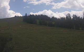 Czarna Góra Grapa ski Dolna Stac - 02-08-2025 11:47