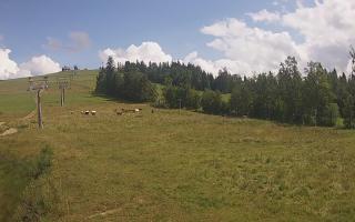 Czarna Góra Grapa ski Dolna Stac - 02-08-2025 12:44