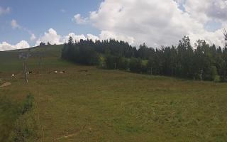 Czarna Góra Grapa ski Dolna Stac - 02-08-2025 12:51