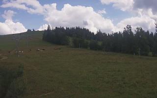 Czarna Góra Grapa ski Dolna Stac - 02-08-2025 12:58