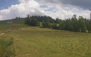Czarna Góra Grapa ski Dolna Stac - 02-08-2025 13:26
