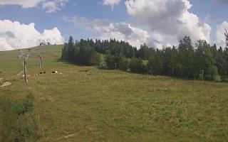 Czarna Góra Grapa ski Dolna Stac - 02-08-2025 13:47