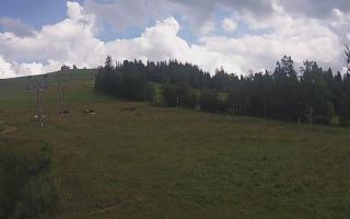 Czarna Góra Grapa ski Dolna Stac - 02-08-2025 13:05