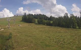 Czarna Góra Grapa ski Dolna Stac - 02-08-2025 13:54