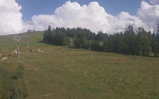 Czarna Góra Grapa ski Dolna Stac - 02-08-2025 14:57