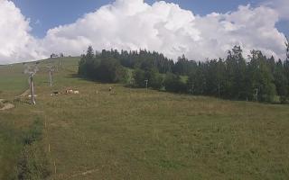 Czarna Góra Grapa ski Dolna Stac - 02-08-2025 15:04