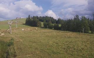 Czarna Góra Grapa ski Dolna Stac - 02-08-2025 15:54
