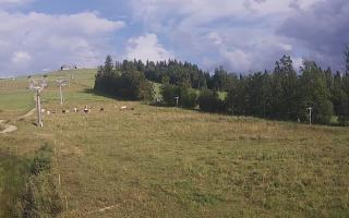 Czarna Góra Grapa ski Dolna Stac - 02-08-2025 16:01