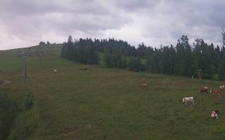 Czarna Góra Grapa ski Dolna Stac - 02-08-2025 03:21