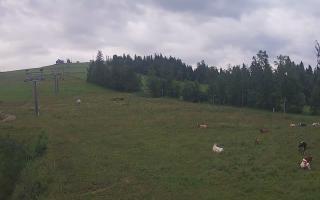 Czarna Góra Grapa ski Dolna Stac - 02-08-2025 03:28