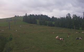 Czarna Góra Grapa ski Dolna Stac - 02-08-2025 03:35