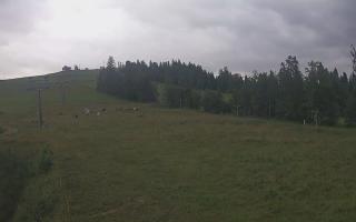 Czarna Góra Grapa ski Dolna Stac - 02-08-2025 03:42