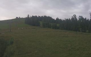 Czarna Góra Grapa ski Dolna Stac - 02-08-2025 03:49