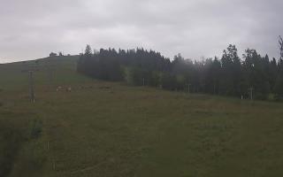 Czarna Góra Grapa ski Dolna Stac - 02-08-2025 03:56