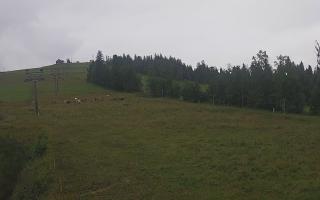Czarna Góra Grapa ski Dolna Stac - 02-08-2025 04:31