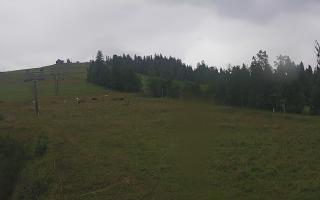 Czarna Góra Grapa ski Dolna Stac - 02-08-2025 04:45