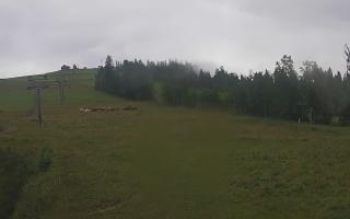 Czarna Góra Grapa ski Dolna Stac - 02-08-2025 04:52
