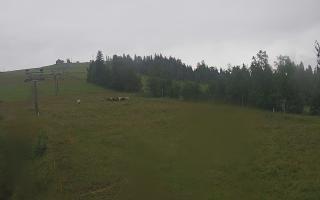 Czarna Góra Grapa ski Dolna Stac - 02-08-2025 04:59