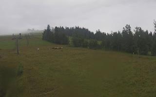 Czarna Góra Grapa ski Dolna Stac - 02-08-2025 05:13