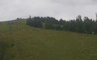 Czarna Góra Grapa ski Dolna Stac - 02-08-2025 05:20