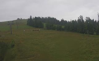 Czarna Góra Grapa ski Dolna Stac - 02-08-2025 05:27
