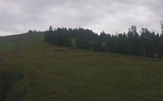 Czarna Góra Grapa ski Dolna Stac - 02-08-2025 05:48