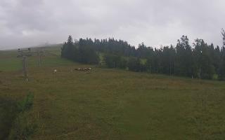 Czarna Góra Grapa ski Dolna Stac - 02-08-2025 05:55
