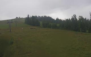 Czarna Góra Grapa ski Dolna Stac - 02-08-2025 05:06