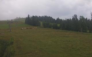 Czarna Góra Grapa ski Dolna Stac - 02-08-2025 06:02