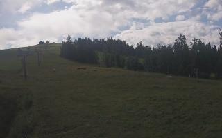 Czarna Góra Grapa ski Dolna Stac - 02-08-2025 07:55