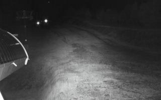 Jaworzyna Krynicka niebieska tra - 17-10-2026 02:11