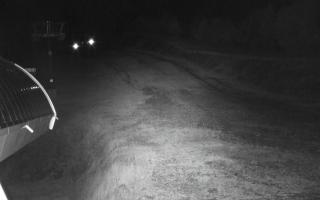 Jaworzyna Krynicka niebieska tra - 17-10-2026 02:36