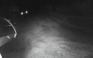 Jaworzyna Krynicka niebieska tra - 17-10-2026 02:53