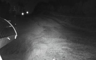 Jaworzyna Krynicka niebieska tra - 17-10-2026 03:34